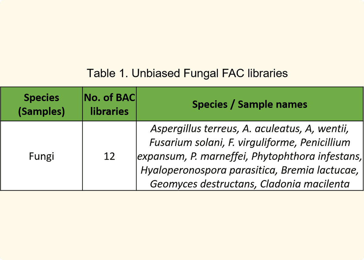 Table listing fungal sample species names