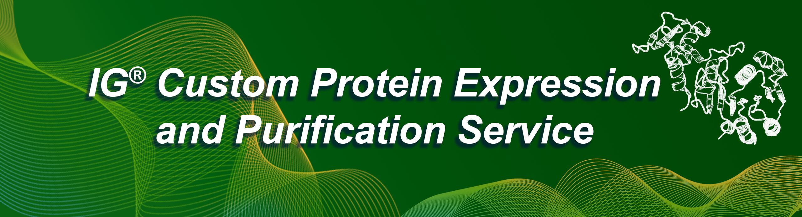 Custom-Protein-Expression Service Banner