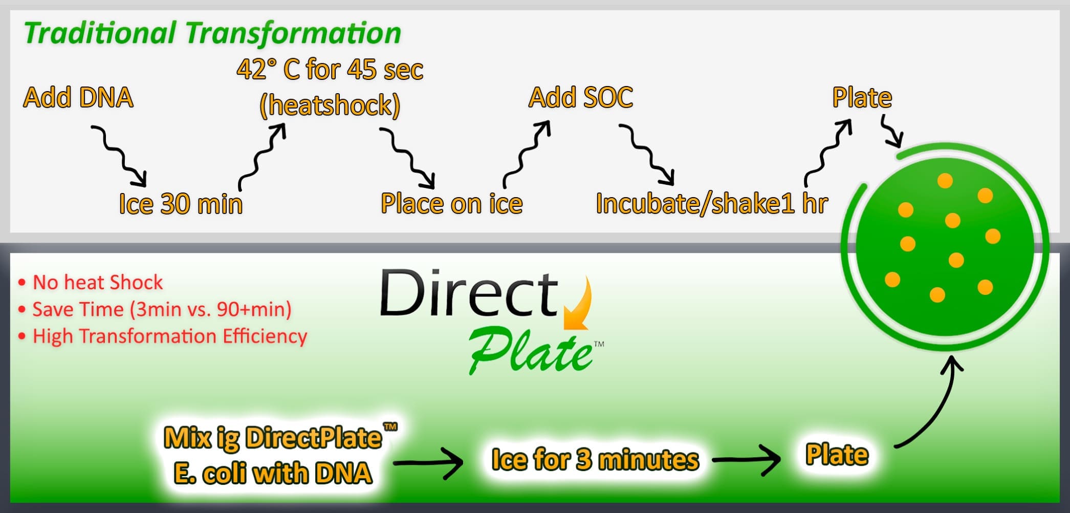 Simplified DNA transformation with Direct Plate method
