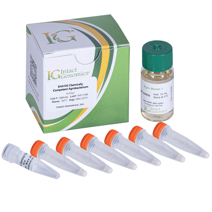 Scientific kit with tubes and box