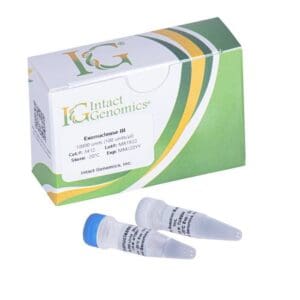 Exonuclease III packaging and vials