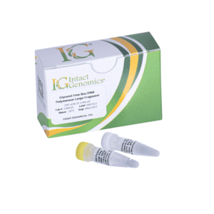DNA polymerase packaging with vials