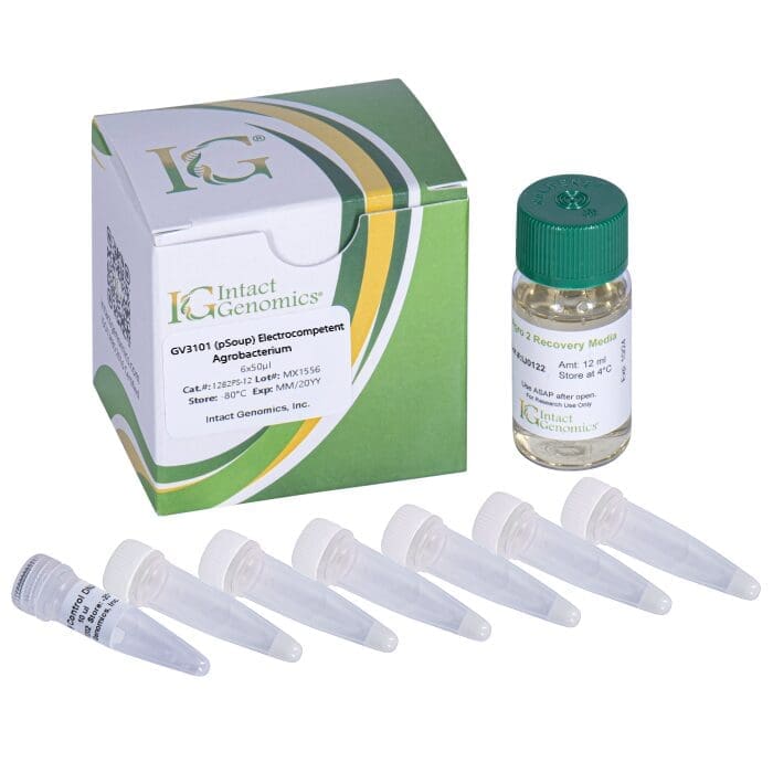 Lab kit with vials and box