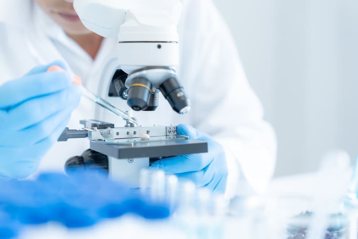 Gloved hands handling microscope slide