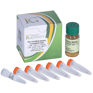 Lab kit with vials and recovery media