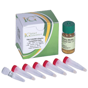 Laboratory samples with labeled vials and box