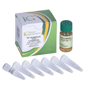 Laboratory kit with vials and box