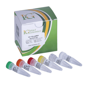 Intact Genomics RNA synthesis products