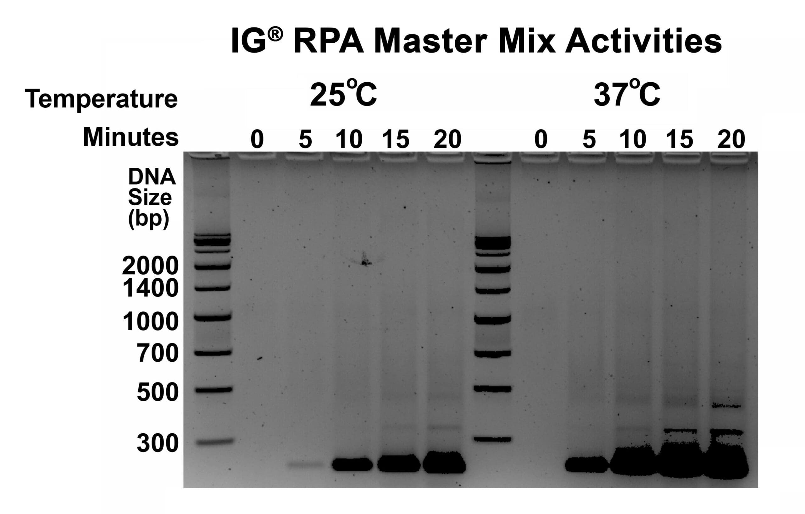 Temperature comparison of DNA samples