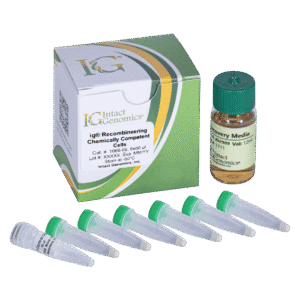 Scientific vials and solution set