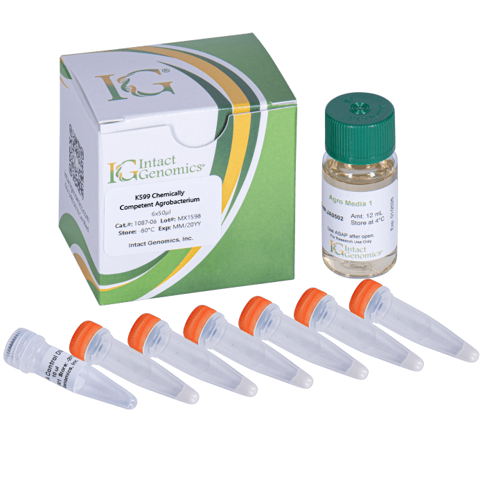 Chemical solution and storage box