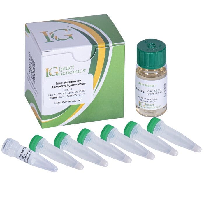 Genomics lab kit with vials and media