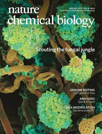 Nature Chemical Biology cover with fungal theme