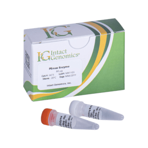 Enzyme kit with two vials