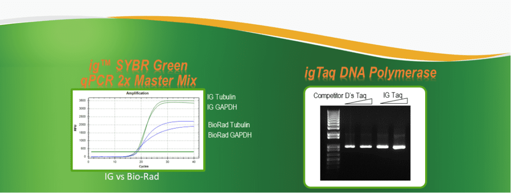 qPCR Master Mix and DNA Polymerase Comparison