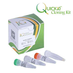 Cloning kit with vials