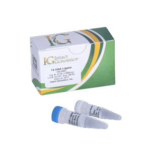 DNA ligase kit with vials
