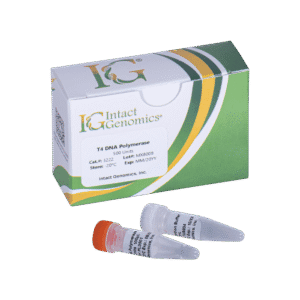Laboratory DNA polymerase kit components