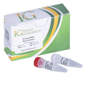 Laboratory DNA recombinase kit