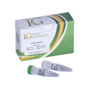 T7 RNA Polymerase product display