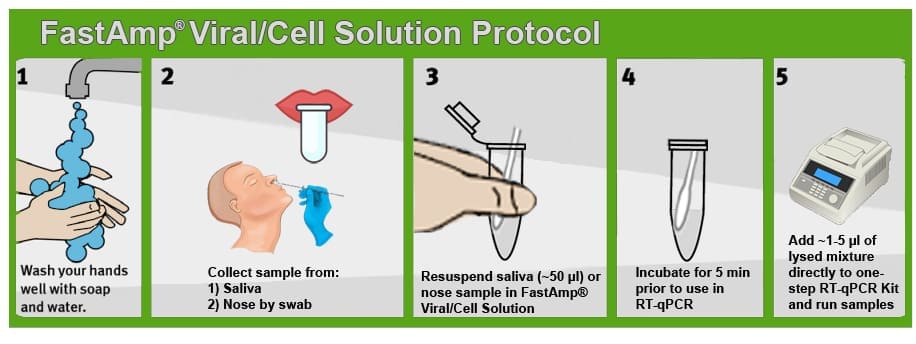 Saliva and swab sample protocol