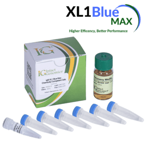 BlueMax lab kit with vials and microtubes
