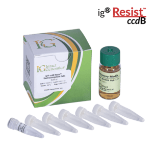 Laboratory kit with vials and box