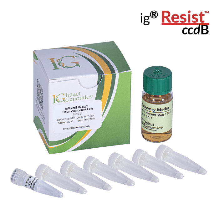 Laboratory kit with vials and box