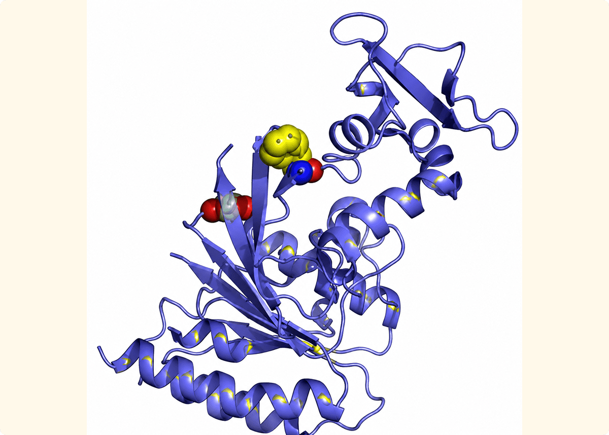 Complex protein depicted with ribbons and spheres