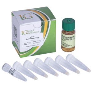 Vials and recovery media set