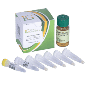 Laboratory cloning kit components
