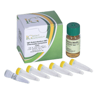 Lab kit with vials and box