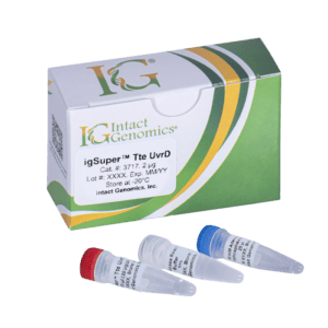 igSuper™ Tte UvrD D Helicase