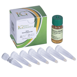 HB101 Electrocompetent Cells